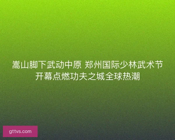 嵩山脚下武动中原 郑州国际少林武术节开幕点燃功夫之城全球热潮