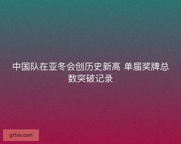 中国队在亚冬会创历史新高 单届奖牌总数突破记录